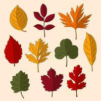 ensemble de feuilles d'automne colorées vecteur