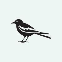 oiseau moderne logo conception vecteur