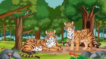 scène de forêt ou de forêt tropicale avec une famille de tigres vecteur