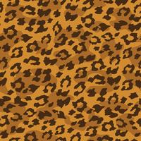 Fond transparent léopard. Illustration vectorielle vecteur