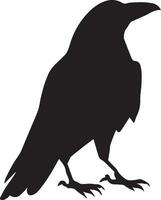 corbeau vecteur silhouette illustration noir Couleur