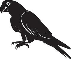 perroquet vecteur silhouette illustration