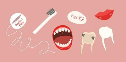 ensemble de dentaire hygiène outils dentaire soie, dent brosse. vecteur plat illustration