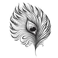 paon plume main tiré esquisser illustration magnifique des oiseaux vecteur
