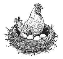 poule pose des œufs dans le nid main tiré esquisser vecteur illustration