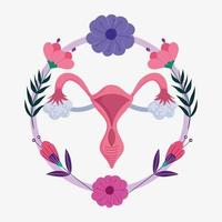 système reproducteur humain féminin, organe sexuel des femmes utérines avec des fleurs vecteur