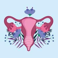 système reproducteur humain féminin, fleur stylisée à plat vecteur