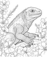 Komodo dragon coloration page réaliste vecteur
