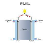 carburant cellule vecteur illustration, il est un type de galvanique cellule où chimique énergie est converti à électrique énergie