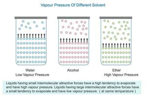 vapeur pression de différent solvants, eau, de l'alcool et éther vecteur