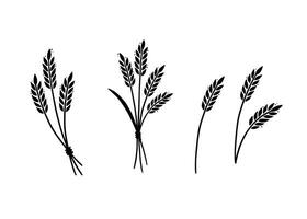 blé, orge, icône de riz. dessiné à la main vecteur