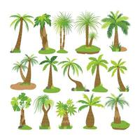 paume arbre illustration dans plat style isolé dans blanc Contexte. tropical été plante illustration. vecteur