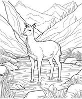 lama étaient en buvant l'eau de le rivière coloration page vecteur