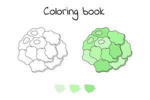 illustration vectorielle. jeu pour les enfants. légume. coloriage chou-fleur vecteur