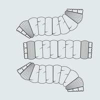 rond corde vecteur illustration