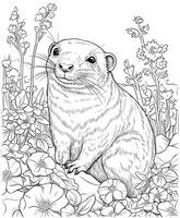 hyrax fleurs coloration page vecteur