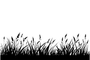 abstrait Contexte avec noir silhouettes de Prairie sauvage herbes et fleurs. vecteur illustration.