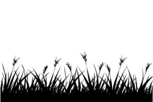 abstrait Contexte avec noir silhouettes de Prairie sauvage herbes et fleurs. vecteur illustration.