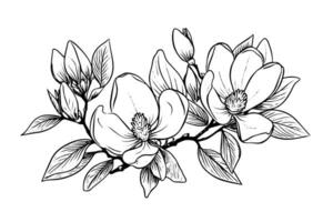 main tiré magnolia fleur encre esquisser. gravure style vecteur illustration.