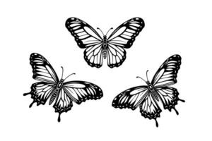 ensemble de papillon esquisser. main tiré gravure style vecteur illustration.