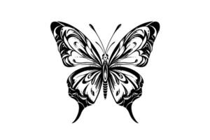 papillon esquisser. main tiré gravure style vecteur illustration.