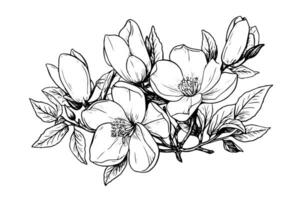 main tiré magnolia fleur encre esquisser. gravure style vecteur illustration.