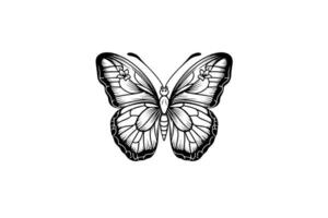 papillon esquisser. main tiré gravure style vecteur illustration.