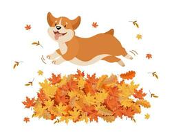 mignon chien corgi drôle dans un saut par-dessus un tas de feuilles d'automne. illustration pour enfants, impression, vecteur