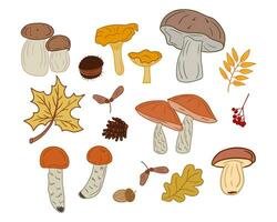 collection de plat coloré l'automne champignons et graines. vecteur main tiré isolé éléments sur blanc Contexte. feuilles, des graines et sauvage champignon. parfait pour autocollants, modèle, emballage papier