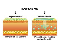 hyaluronique acide conception vecteur illustration