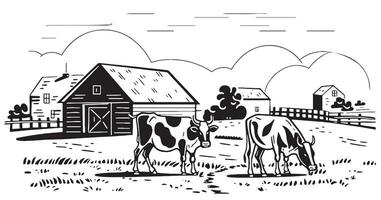deux vaches pâturer sur le champ sur le Contexte de le ferme main tiré esquisser dans griffonnage style vecteur illustration