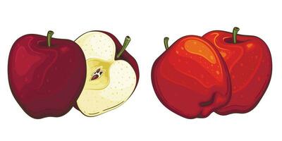 Pomme isolé vecteur illustration. des fruits coloré des illustrations isolé sur blanc Contexte. fruit collection.