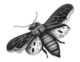 papillon de nuit Facile insecte main tiré esquisser vecteur illustration