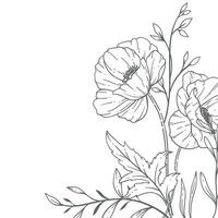 floral cadres ligne art, bien ligne coquelicot cadres main tiré illustration. contour feuilles et fleurs. vecteur