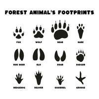 ensemble isolé noir silhouettes de forêt animaux empreintes sur blanc Contexte dans plat vecteur style. Renard, ours, loup, wapiti, blaireau, lièvre, écureuil, castor, chevreuil cerf, sanglier, hérisson, tétras