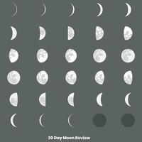 30 journée lune phases et lune calendrier vecteur