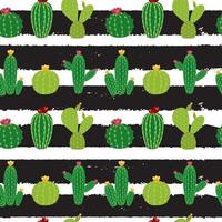 collection d & # 39; icônes de cactus transparente motif fond illustration vectorielle vecteur