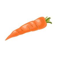 illustration de vecteur de dessin animé objet isolé carotte végétale