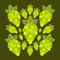 vert fruit les raisins vecteur illustration pour graphique conception et décoratif élément