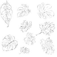 ensemble de vecteurs de dessins de contour de feuilles tropicales exotiques vecteur