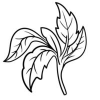 contour main tiré décoratif floral branche et minimaliste feuilles pour logo ou tatouage. main tiré ligne mariage herbe, élégant fleurs sauvages. minimal ligne art dessin pour imprimer, couverture ou fond d'écran vecteur