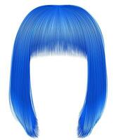 branché Cheveux bleu couleurs . kare la frange . beauté mode vecteur