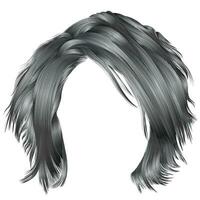 branché femme ébouriffé Cheveux gris couleurs . beauté mode . réaliste 3d vecteur