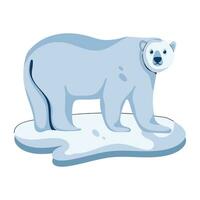 ours polaire tendance vecteur