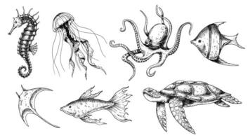 sous-marin animaux ensemble. vecteur main tiré illustration de hippocampe et méduse sur isolé Contexte dans contour style. dessin de mer tortue et pieuvre. gravure de sous-marin poisson. noir encres.