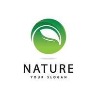 conception d'icône de nature logo feuille verte vecteur