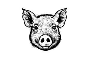 mignonne porc ou porc tête gravure style vecteur illustration.