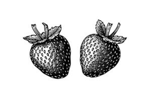 fraise dans gravure style. conception élément pour affiche, carte, bannière, signe. vecteur illustration