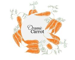 main tiré Frais et biologique carotte couronne vecteur