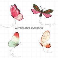 aquarelle papillon ensemble, vecteur illustration